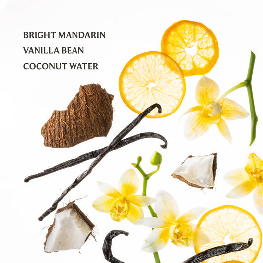 Vanilla Blossom Hydrating Hand Sanitizer | Touchland