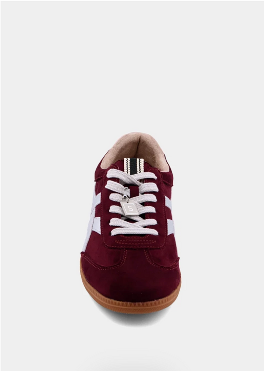 Sasha Suede Sneaker