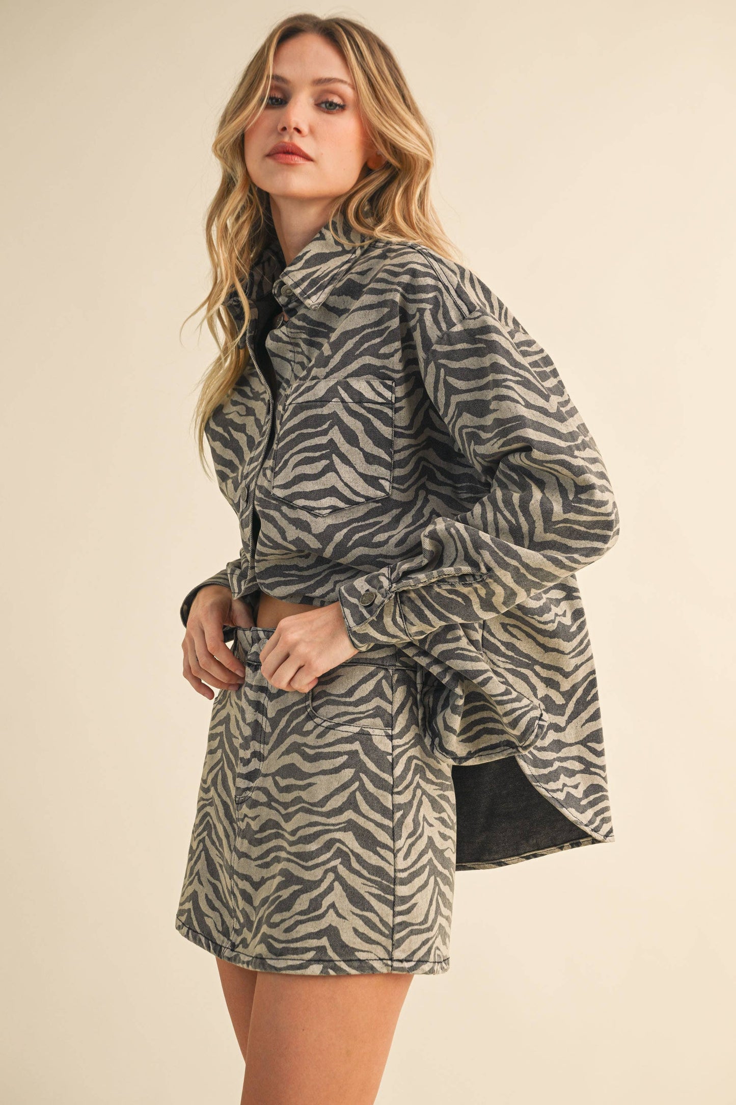 Katie Zebra Denim Shirt and Skirt Set