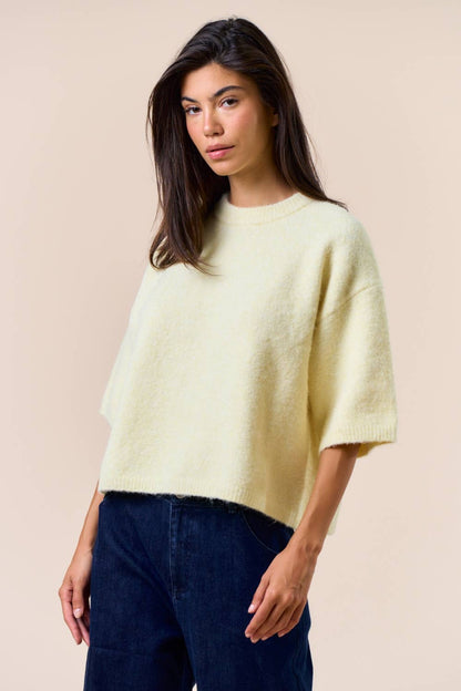 Dani Short Sleeve Sweater