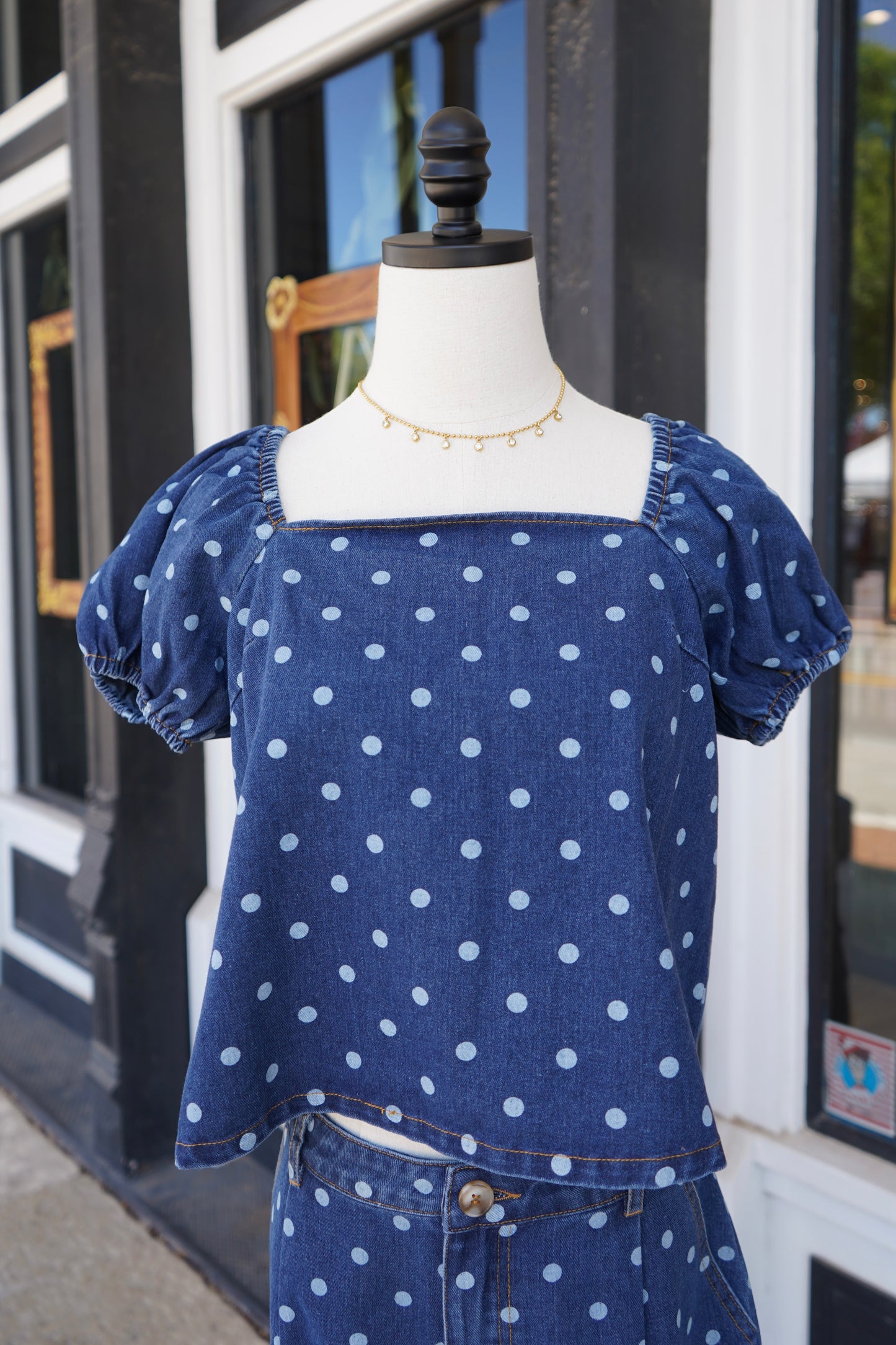 Dani Puff Sleeve Denim Top