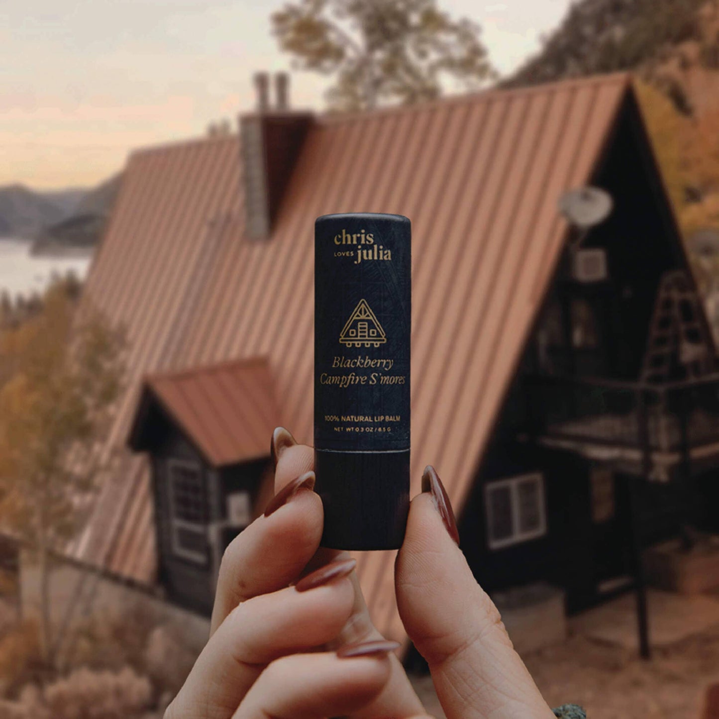 Blackberry Campfire S'mores | Poppy & Pout