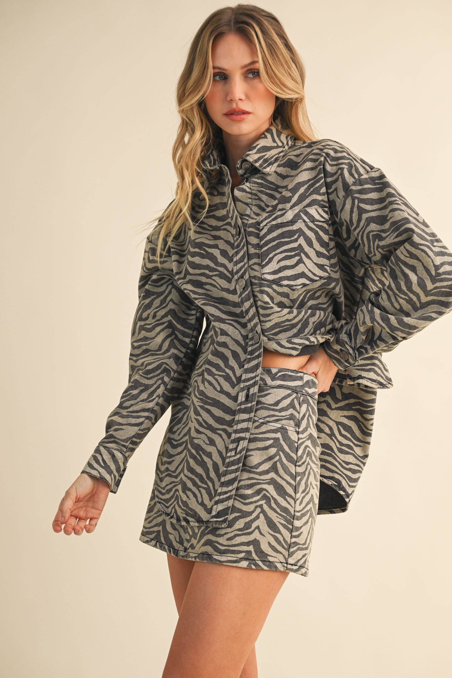 Katie Zebra Denim Shirt and Skirt Set