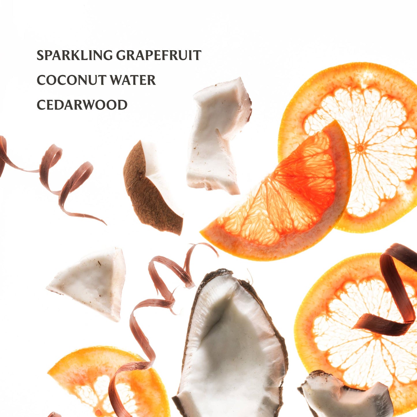 Beach Coco Hydrating Hand Sanitizer | Touchland