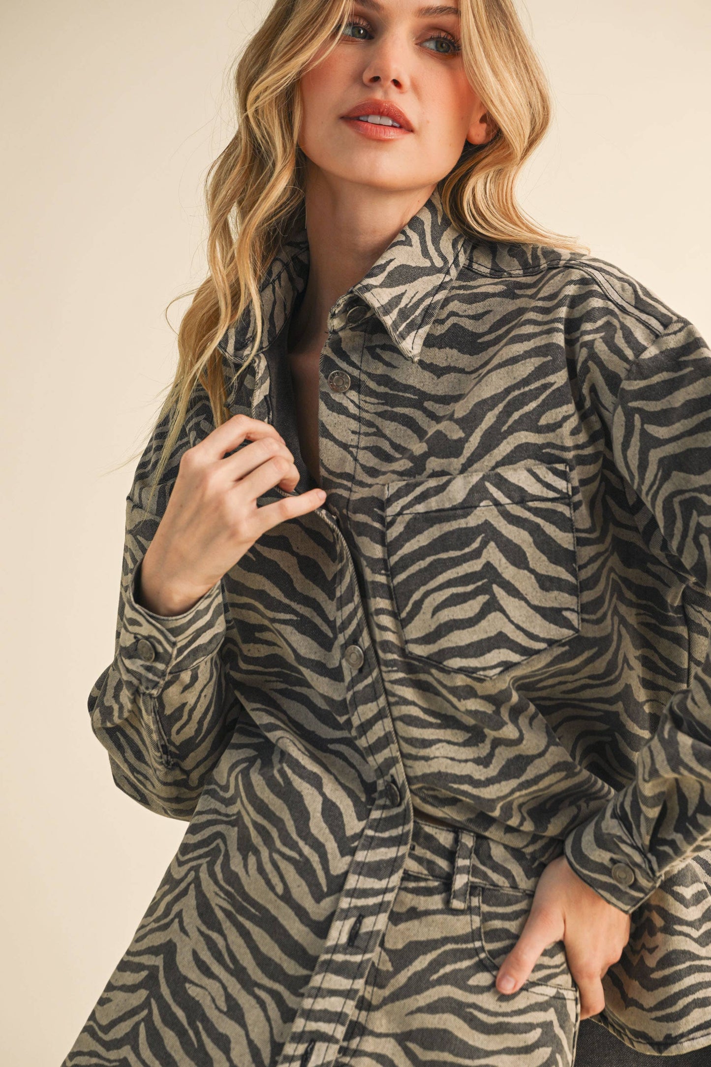 Katie Zebra Denim Shirt and Skirt Set