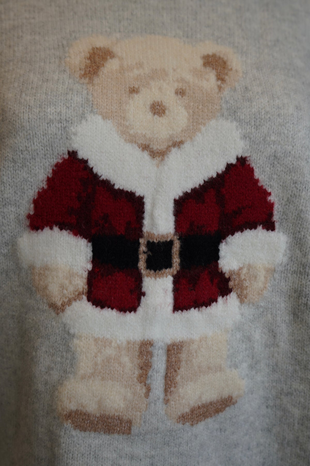 Santa Teddy  Sweater