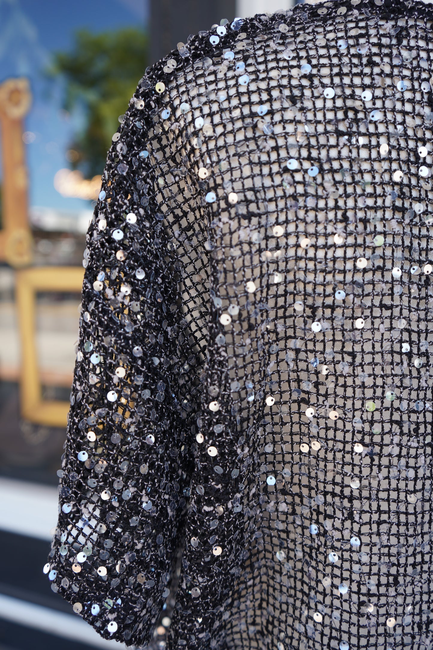 Rena Sequin Mesh Top