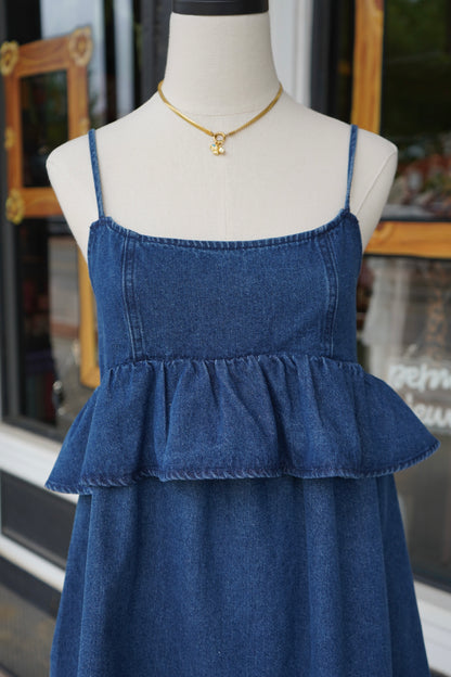 Ronnie Denim Mini Dress
