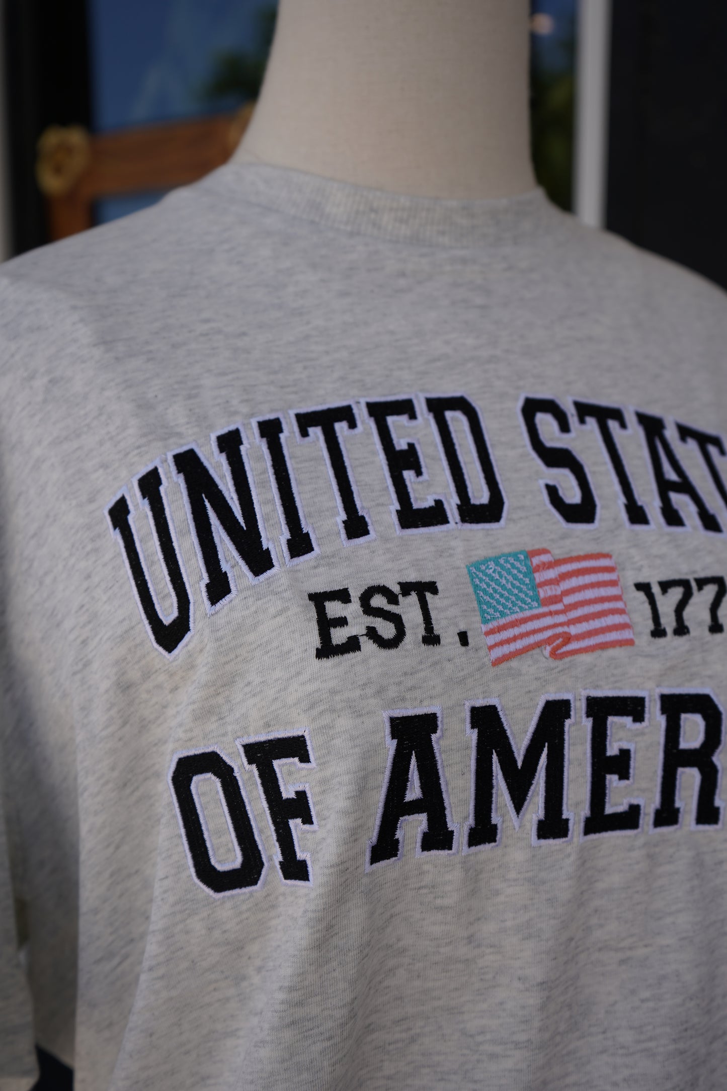 United States of America Embroidered Tee